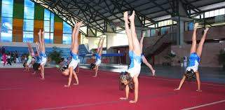 Foto de GIMNASIO DE GIMNASIA - COMPLEJO DEPORTIVO CINCO ÁGUILAS BLANCAS
