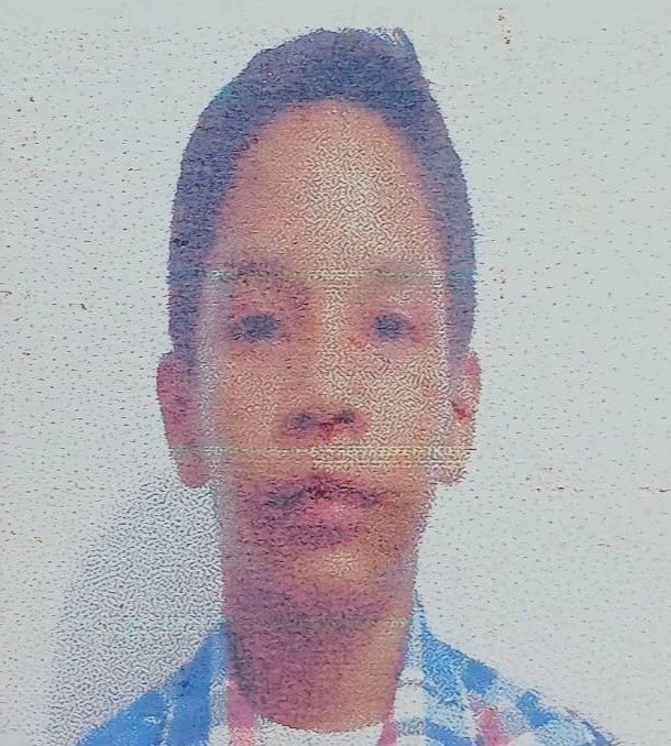 Foto de NOEL MARTINEZ